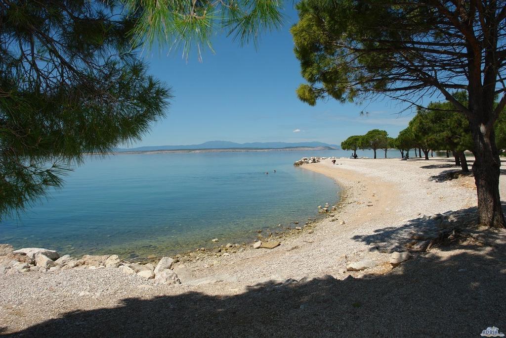Apartment Promenada Crikvenica Room photo